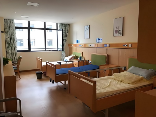 重生之凤劫苍穹霸天下